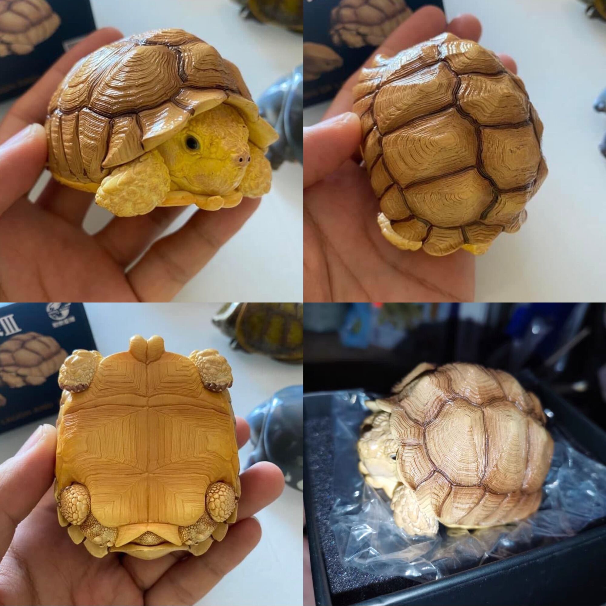 Animal Tortoise Figurine bighead series โมเดลเต่าตัวเล็ก [เรซิน