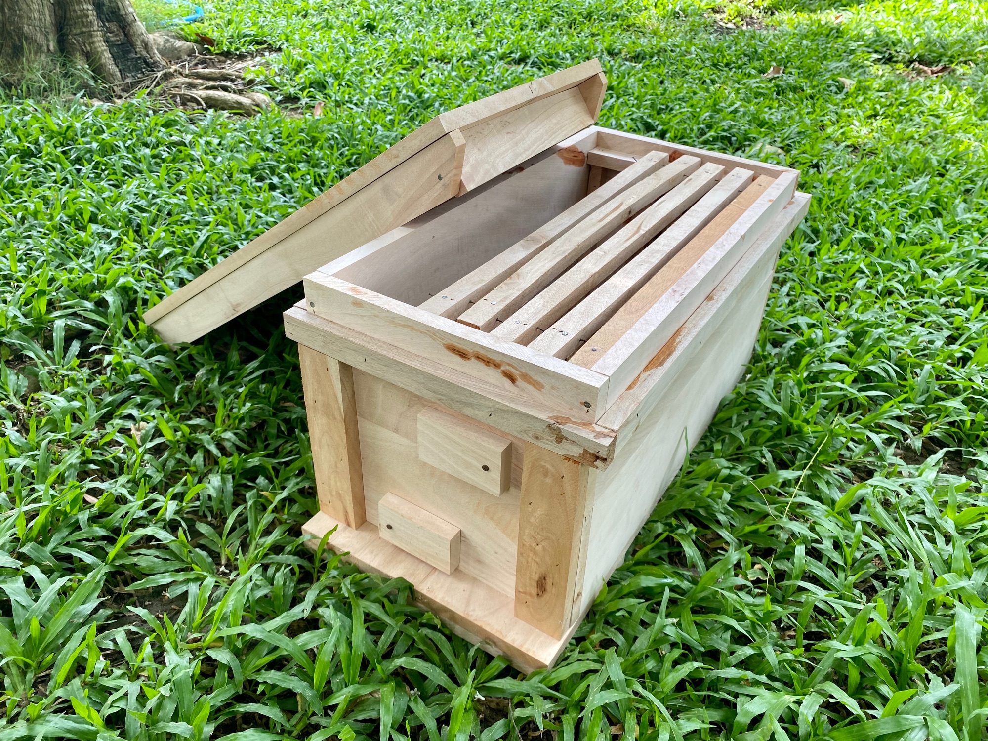 กล่องเลี้ยงผึ้งโพรง พร้อมคอนไม้ 5 อัน ทำจากไม้กระท้อนพร้อมเข้าลิ้นอย่างดี ขนาด กว้าง 27cm ยาว 60cm สูง 30cm ความหนาของไม้ 1.5cm