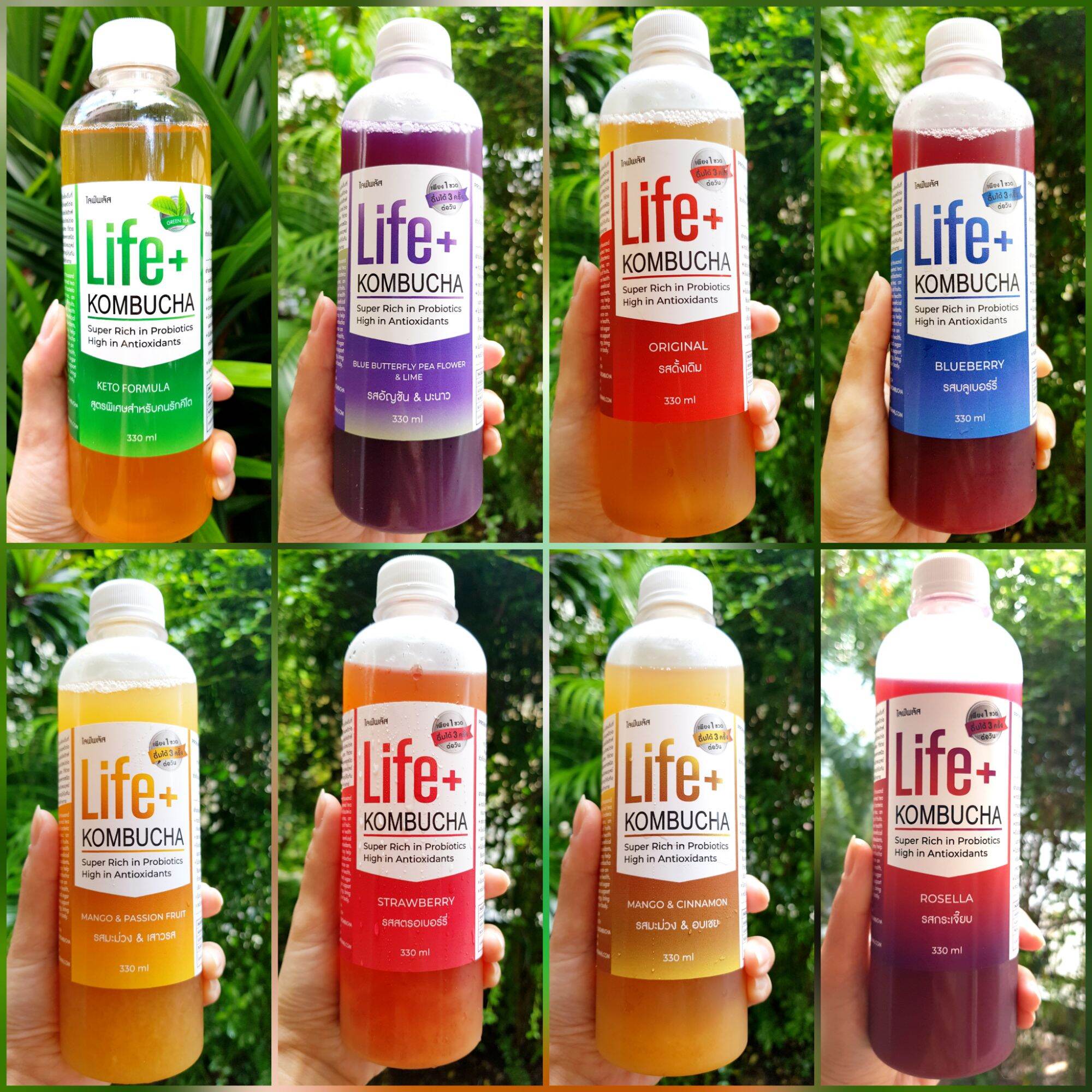 แพค 8 รสชาติ Life+ KOMBUCHA raw organic 330ml คอมบูชา คอมบูชะ ชาหมัก ดีท็อกซ์ ท้องผูก โพรไบโอติก สารต้านอนุมูลอิสระ คอมบูฉะ detox probiotic antioxidant