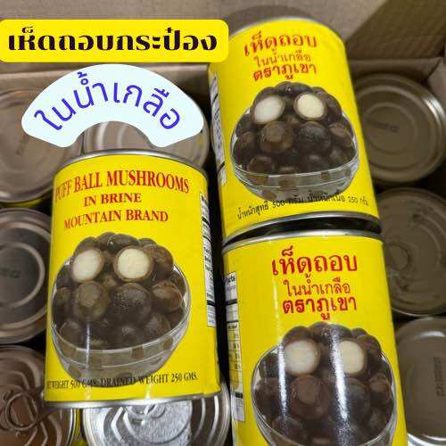 Dried Shiitake Mushrooms in Salt Water Canned Shiitake Mushrooms, Size 500 (250 Meat/250 Water), Dried Shiitake Mushrooms, Canned Shiitake Mushrooms, Mountain Brand, Shiitake Mushrooms, Mushrooms, Canned Shiitake Mushrooms ราคา 299 บาท*ส่งฟรี