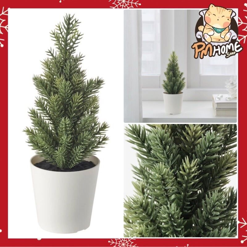 ต้นสน ขนาดเล็ก ต้นคริสต์มาส VINTERFINT ikea Christmas tree ของแต่งบ้าน