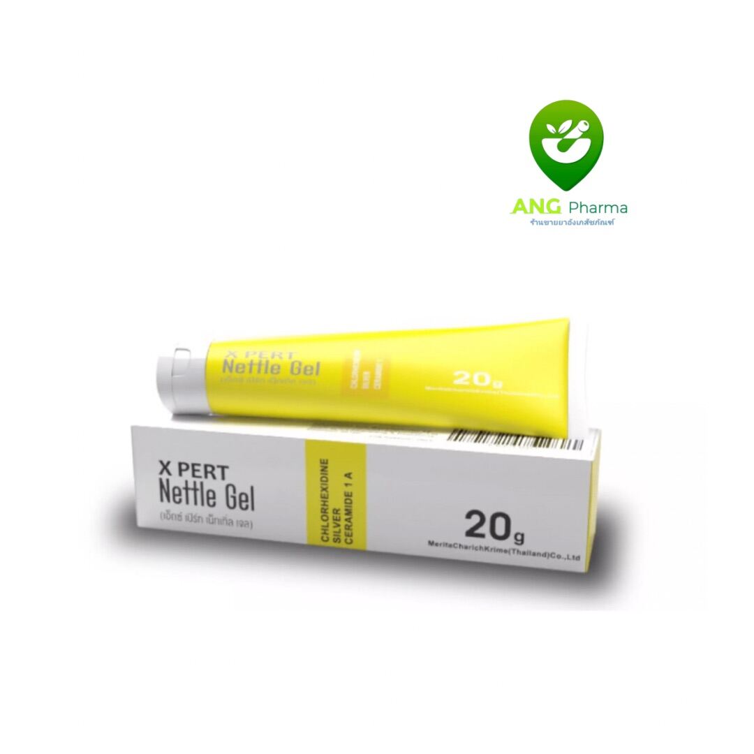 X Pert Nettle Gel 20 g เอ็กซ์ เปิร์ท เน็ทเทิ่ล เจล 20 กรัม Lazada.co.th