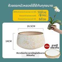 jeagutt | กระถางกล้วยไม้เซรามิคหรูหรา ปากกว้างสั้น