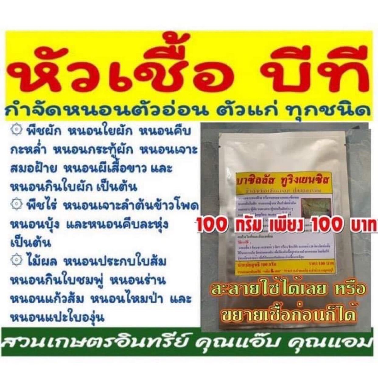 บีที 100กรัม , บาซิลลัส ทูริงเยนซิส , BT ขนาด 100 กรัม กำจัด ป้องกัน หนอนทุกชนิด หนอนด้วงต่างๆ ไข่หนอน ตามต้นพืชรวมถึง ในดิน