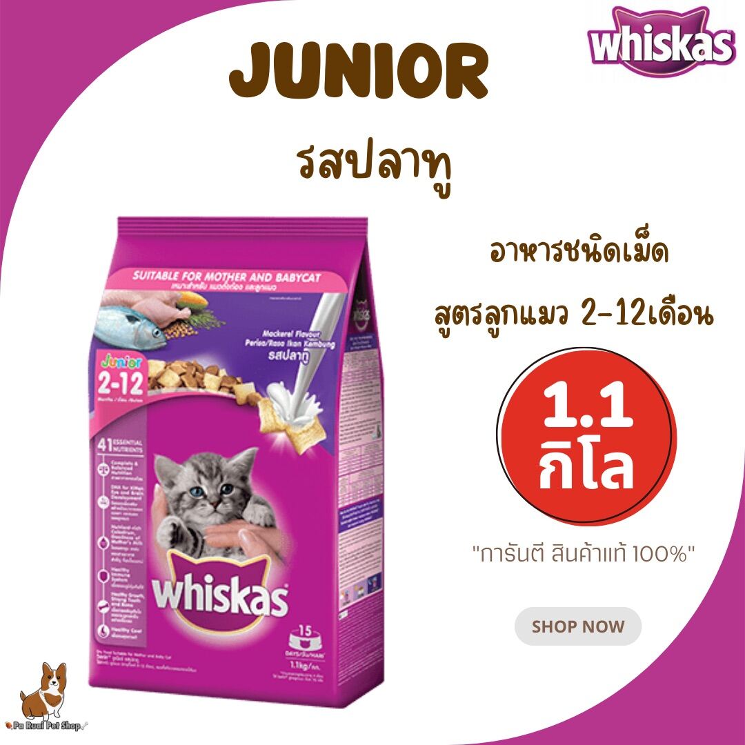 [Pa Ruai] Whiskas Junior วิสกัส รสปลาทู อาหารแมวชนิดแห้ง แบบเม็ด สูตร