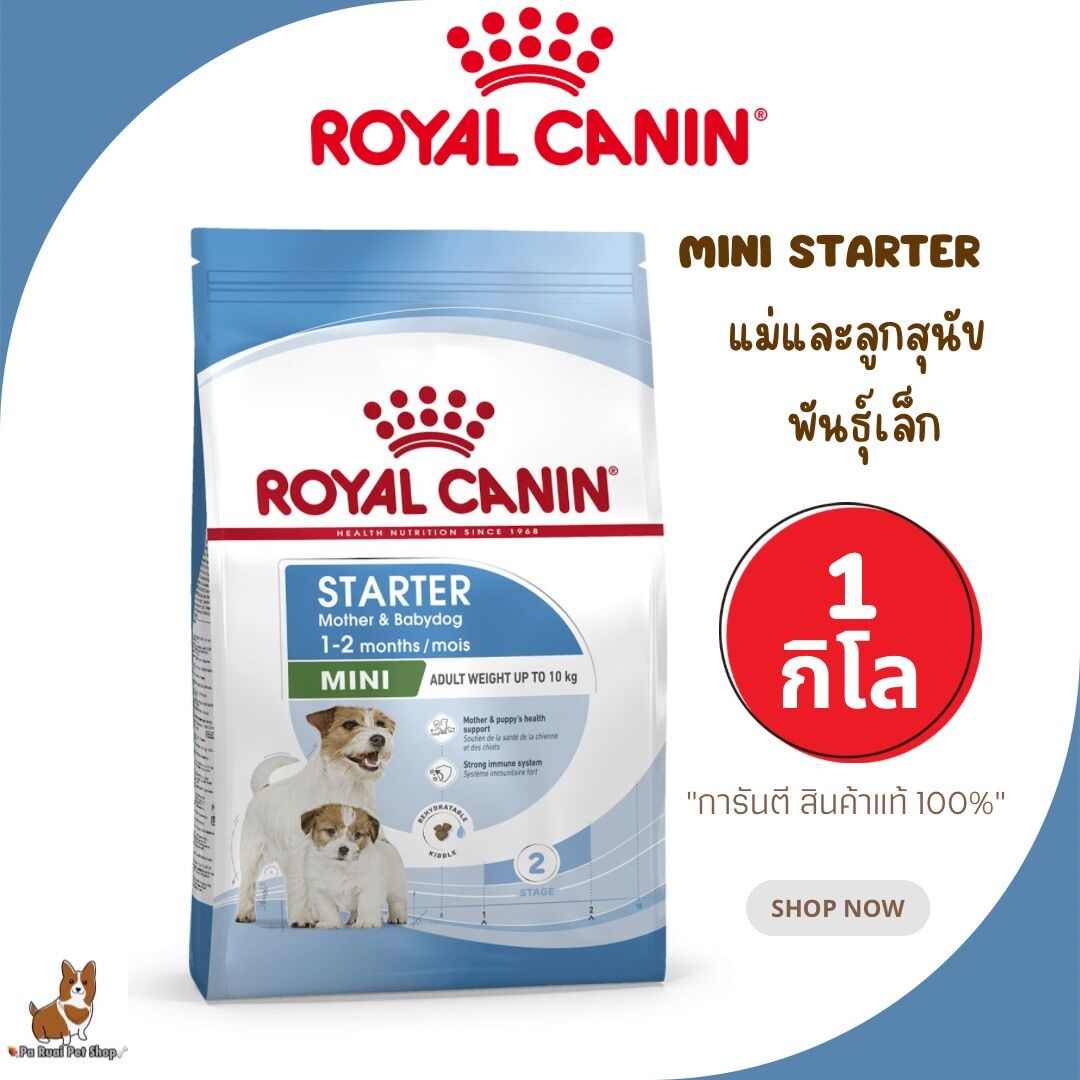 Royal Canin mini adult 8 kg 1kg gratis - Van Noord's Dierenvoeders