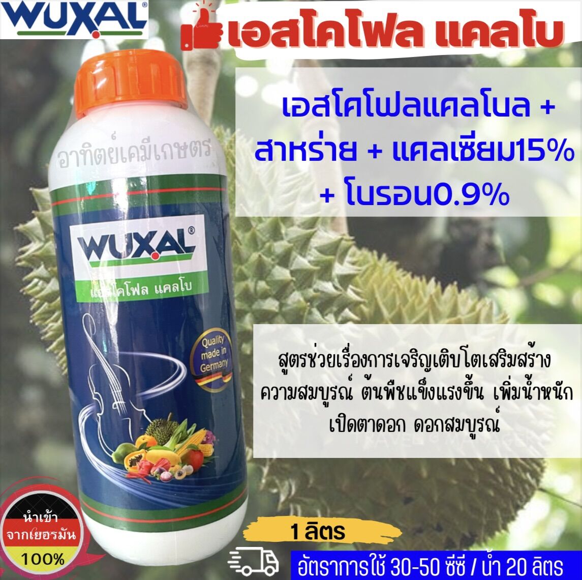 My Image 24