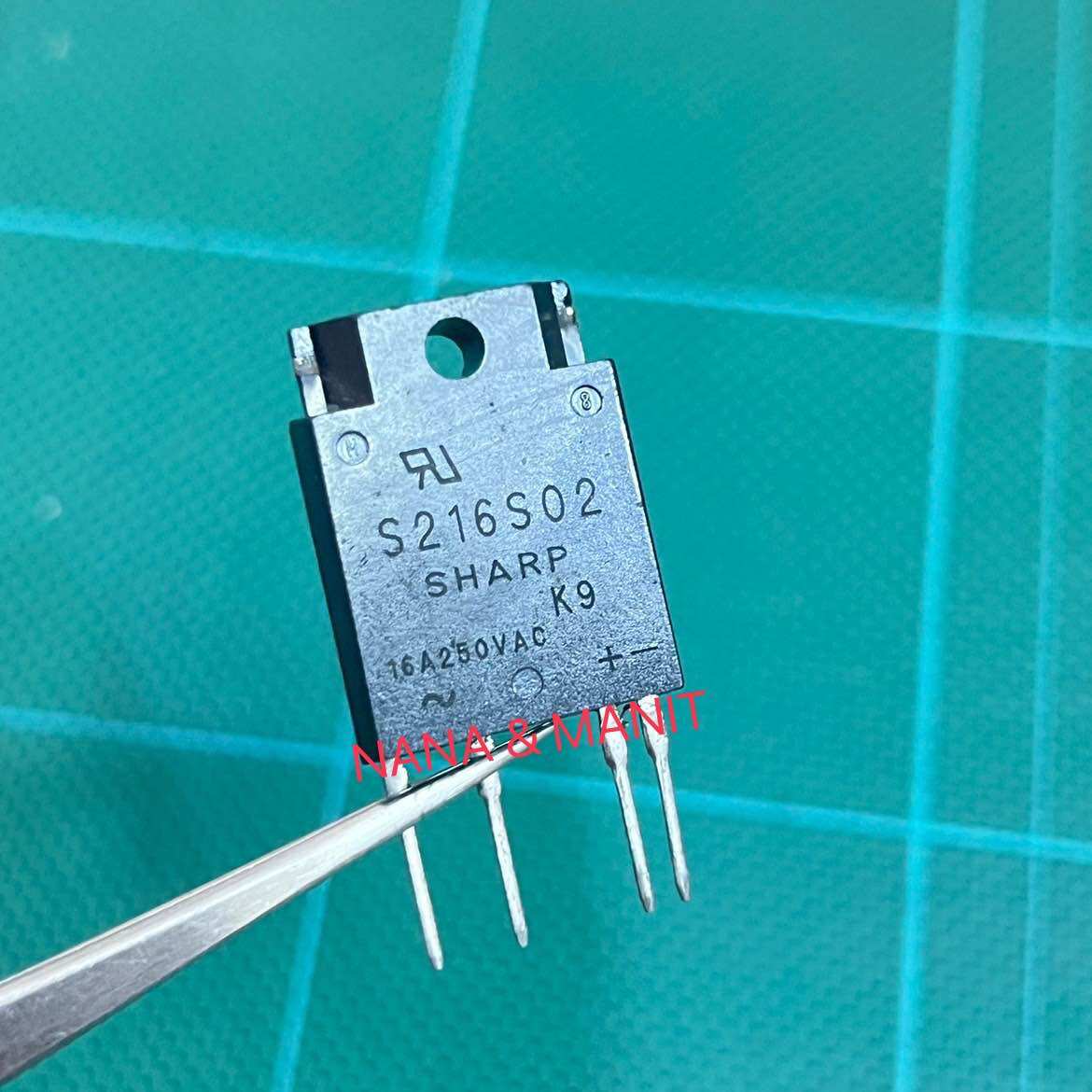 S216S02 Solid State Rerayของเเท้‼️ พร้อมส่งจากไทย🇹🇭 | Lazada.co.th