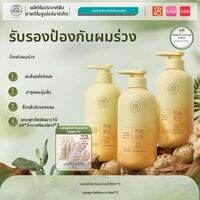 RUYI | แชมพูป้องกันผมร่วง ขิง ควบคุมความมัน เพิ่มวอลุ่ม