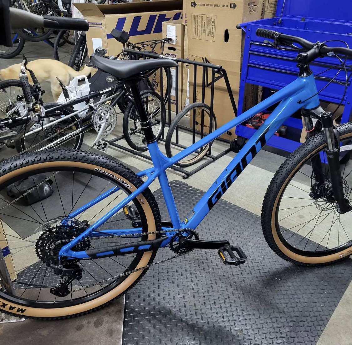 Giant Talon 1 Mountain Bike (2026) — Aluxx Grade Aluminum Frame — Shimano Cues U6000 Sl Gear Set — Giant Gx03V Double-Layer Alloy Wheels — Tektro Hdc M275 2-Piston Hydraulic Disc Brakes. ราคา 28,000 บาท*ส่งฟรี