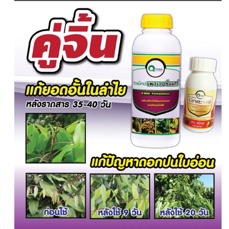 คู่จิ้นคู่ใจ แก้ปัญหา ลำไยยอดอั้น แก้ปัญหาดอกปนใบอ่อน หลังราดสาร ชุด 2 ขวด ราคา 1,419 บาท*ส่งฟรี