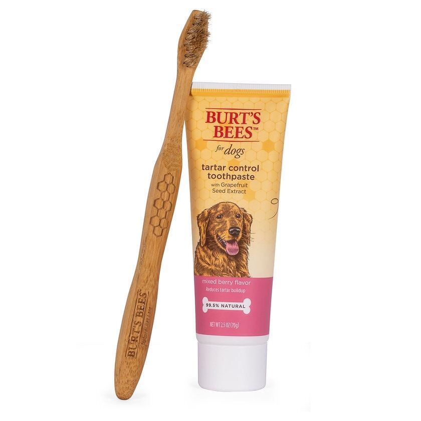 ยาสีฟันและแปรงสีฟันสุนัข Burts Bees Oral Care Kit สูตร Tartar Control Toothpaste Bamboo