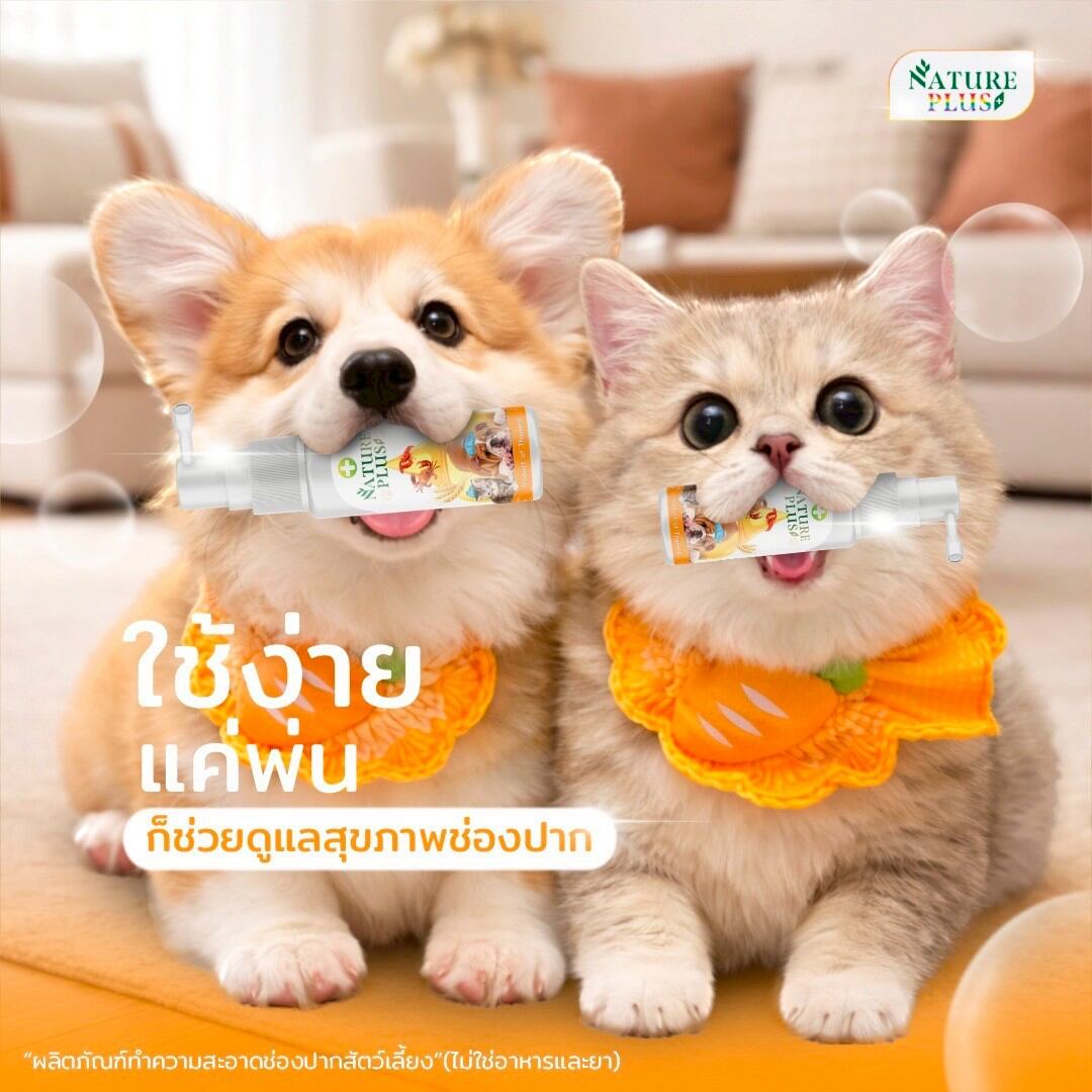 Natureplus Ns Mouth Spray for Pets That Have Oral Inflammation, Heat-Related Wounds, Runny Nose, Colds, or Weak Immunity. ราคา 629 บาท*ส่งฟรี