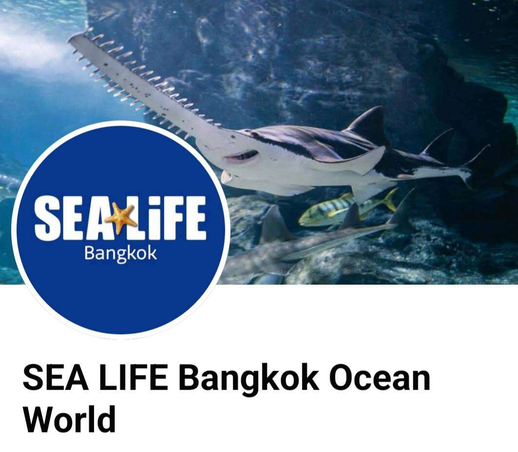 [Digital Coupon] Sealife Oceanworld Bangkok ซีไลฟ์ โอเชี่ยนเวิล์ด สยามพารากอน ส่งไว ราคาพิเศษ หมดอายุ 30 กย.67 ราคา 559 บาท*ส่งฟรี
