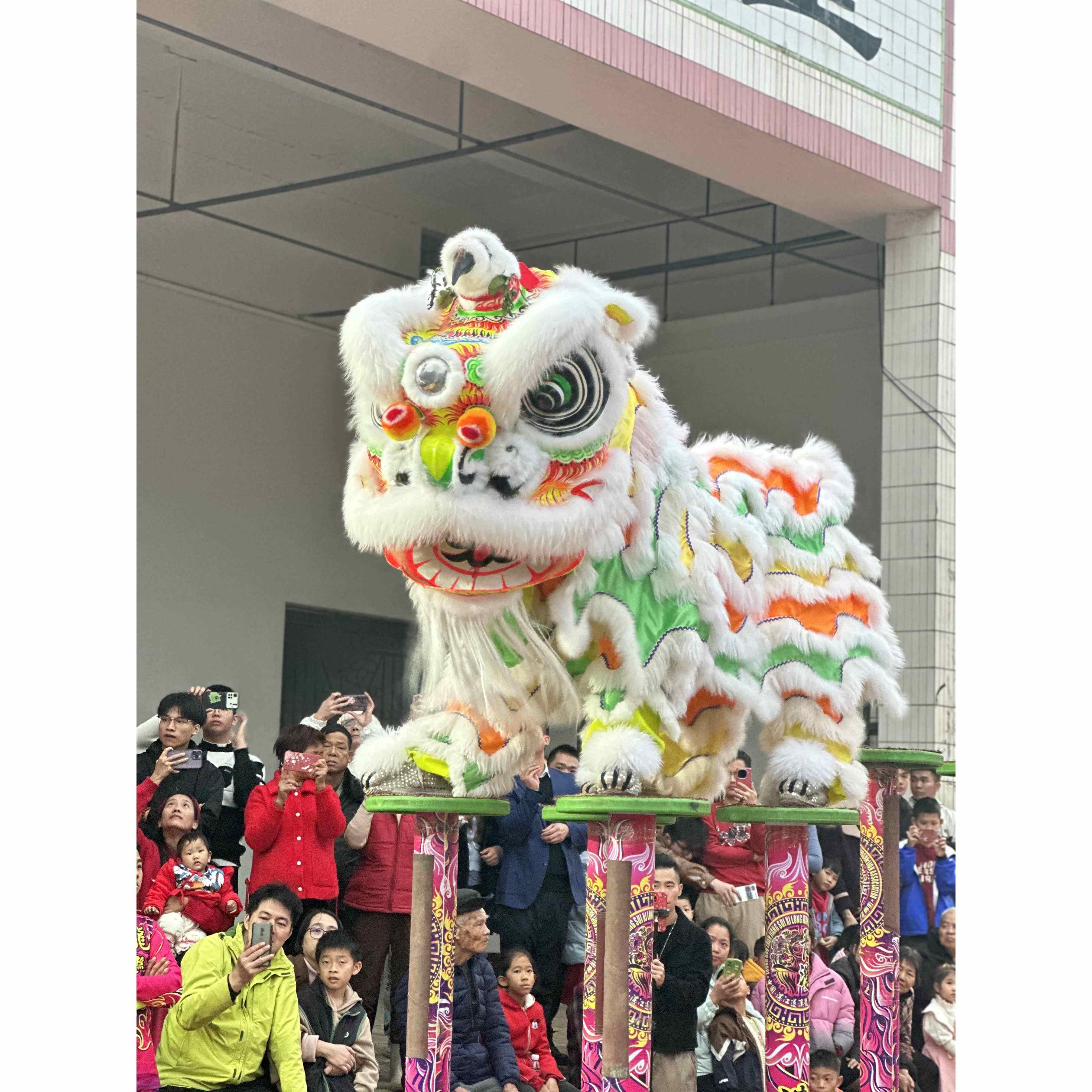 yishujia office | High-Pole Lion Dance ราคา 8,738 บาท*ส่งฟรี