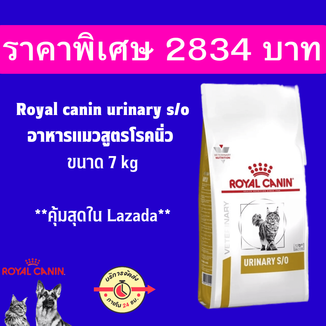 royal-canin-veterinary-diet-urinary-so-moderate-calorie-dry-dog-food