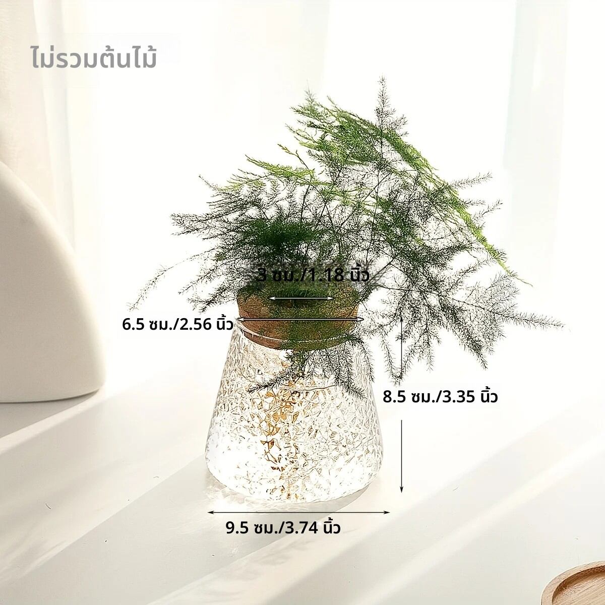 1 PCแก้วกระถางดอกไม้ Breeding Station แจกันเดสก์ท็อปพืช Hydroponic ตัดตกแต่งบ้านสํานักงาน