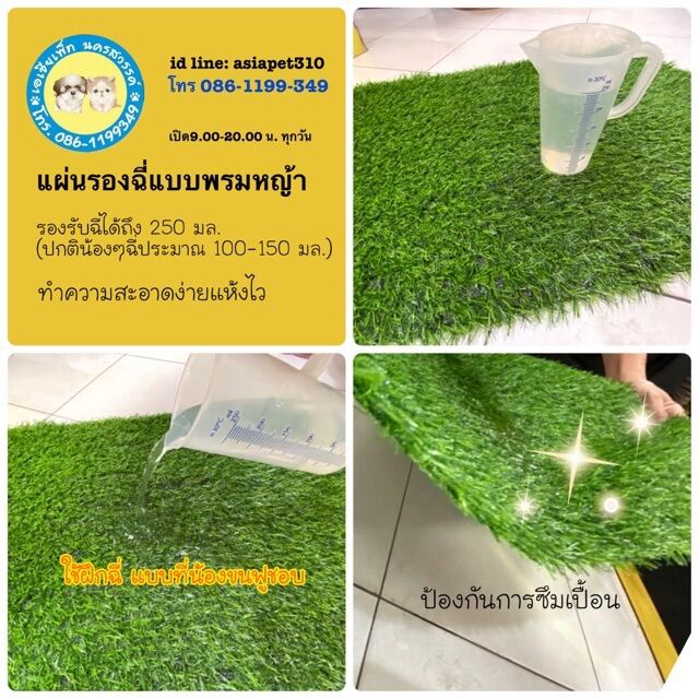 พรมหญ้าเทียม แผ่นฝึกฉี่ grass pee pad มี 2 ขนาด