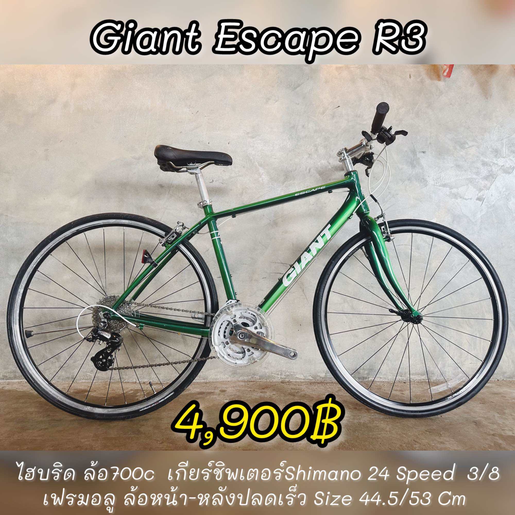 GIANT ESCAPE R3 MS h 365XXS ブラックトーン 2021