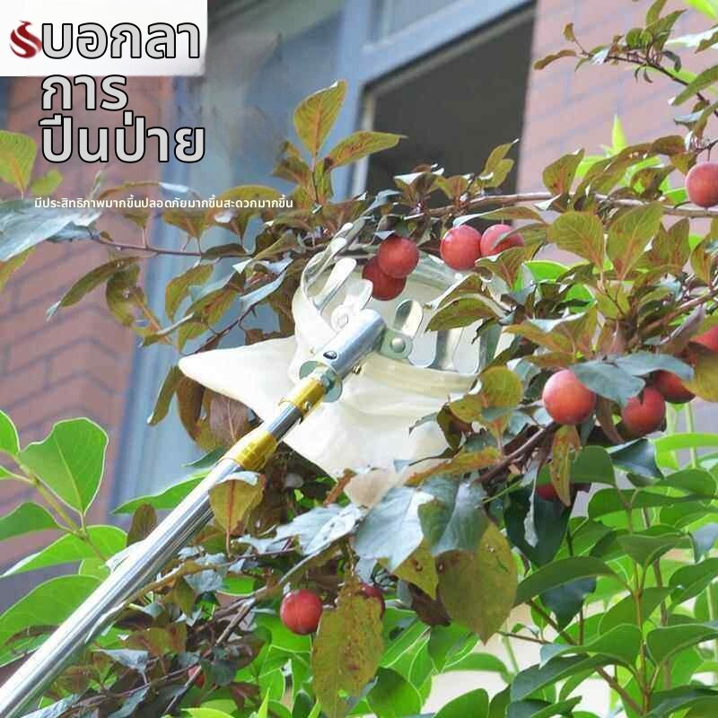 FEIZHUXIANSEN | Extendable Fruit Picking Tool ราคา 1,284 บาท*ส่งฟรี
