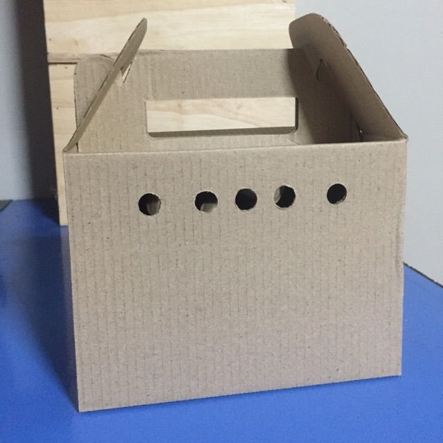 กล่องแพ็คสัตว์เลี้ยง ขนาด 10.5×15×11.5cm. ใช้ใส่หนู,เม่น