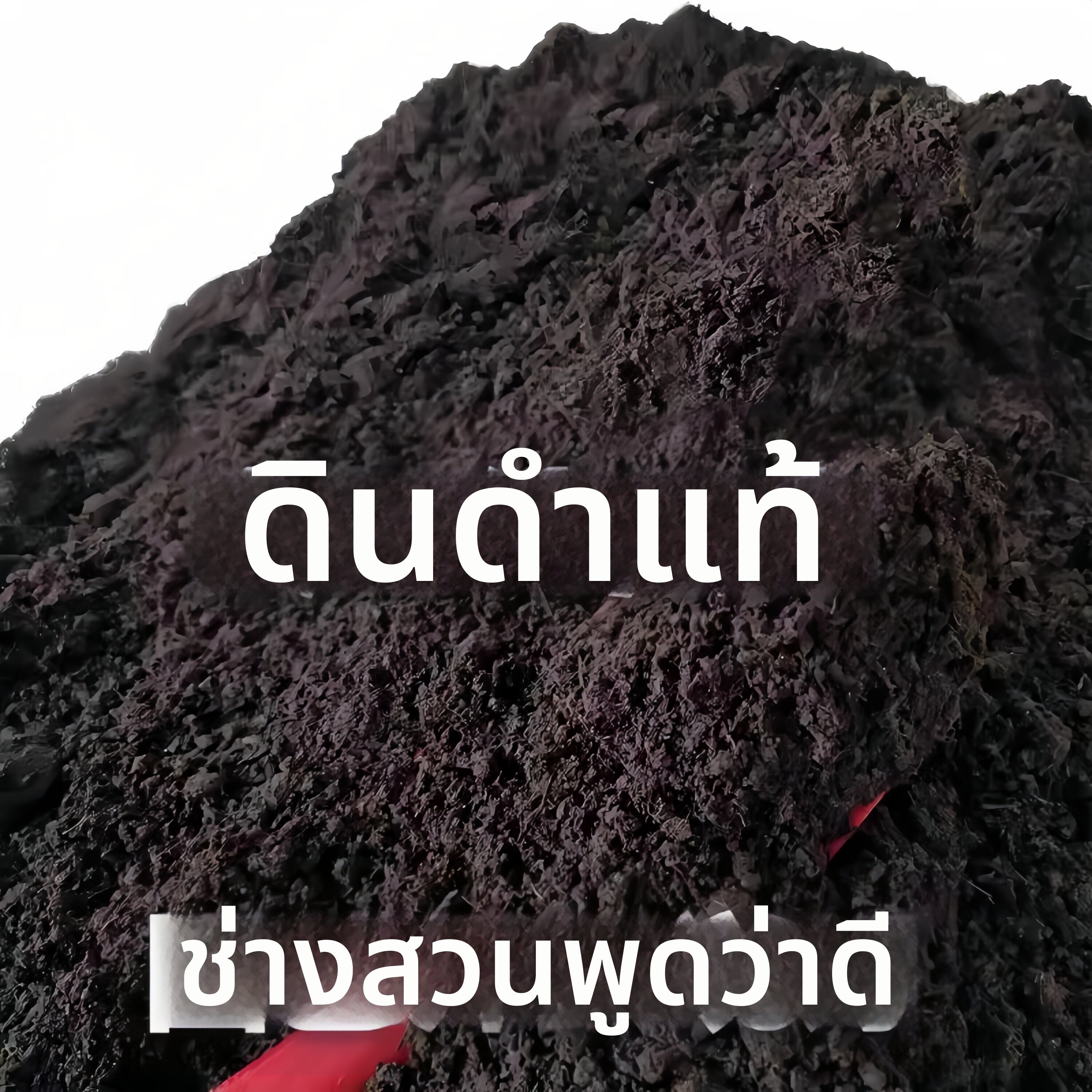 FEIZHUXIANSEN | Multi-purpose Nutrient Soil 100kg ราคา 394 บาท*ส่งฟรี