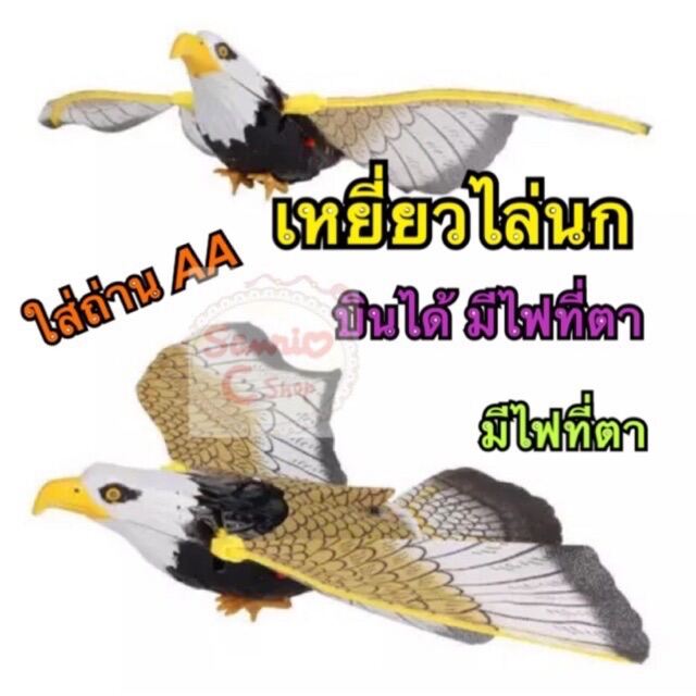 เหยี่ยวไล่นก ส่งจาก🇹🇭 🦅🦅ใช้สำหรับไล่นกพิราบ