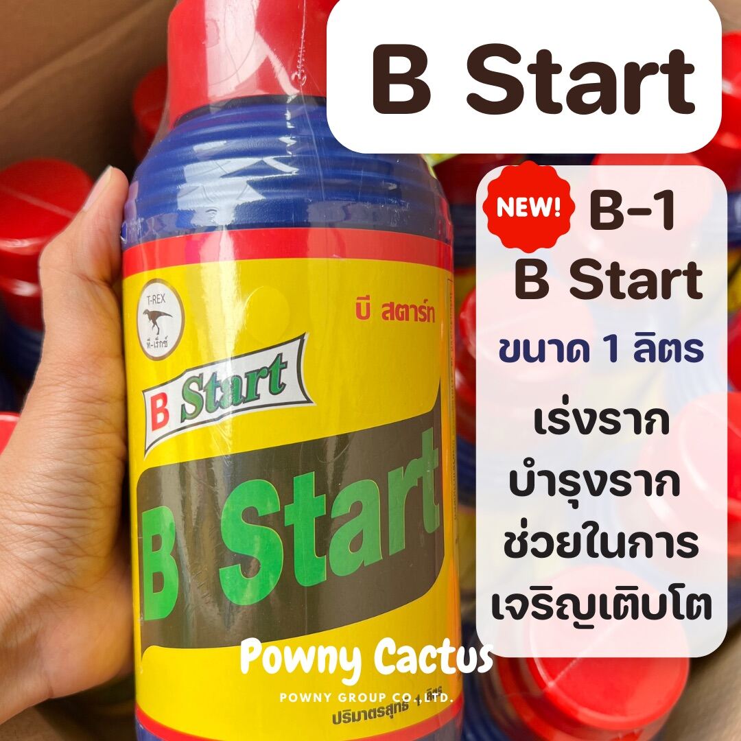 B-1 ใหม่ B Start น้ำยาเร่งราก เร่งการแตกของราก ปริมาณ 1 ลิตร | Lazada.co.th