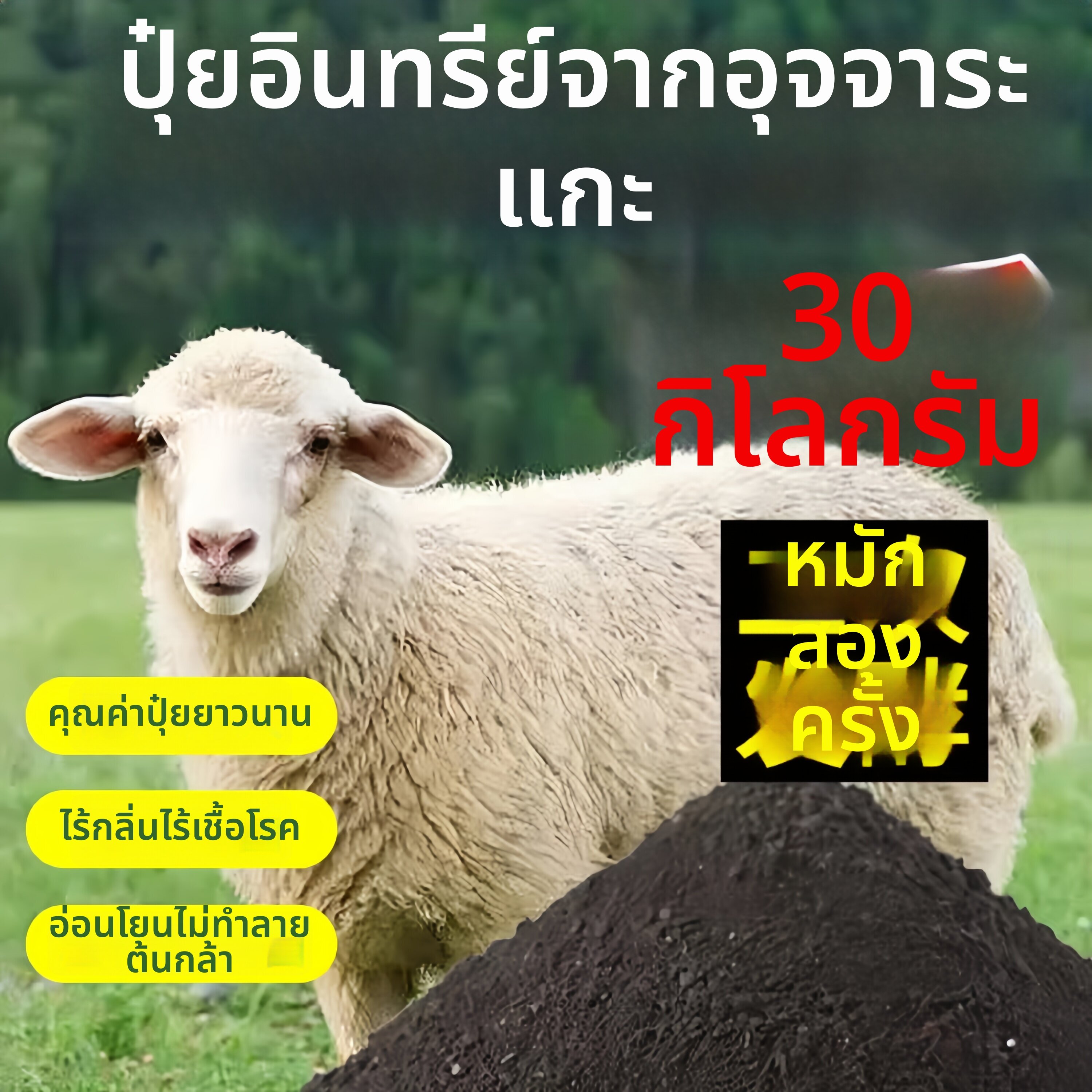 FEIZHUXIANSEN | Fermented Organic Fertilizer Nutrient Soil ราคา 1,241 บาท*ส่งฟรี