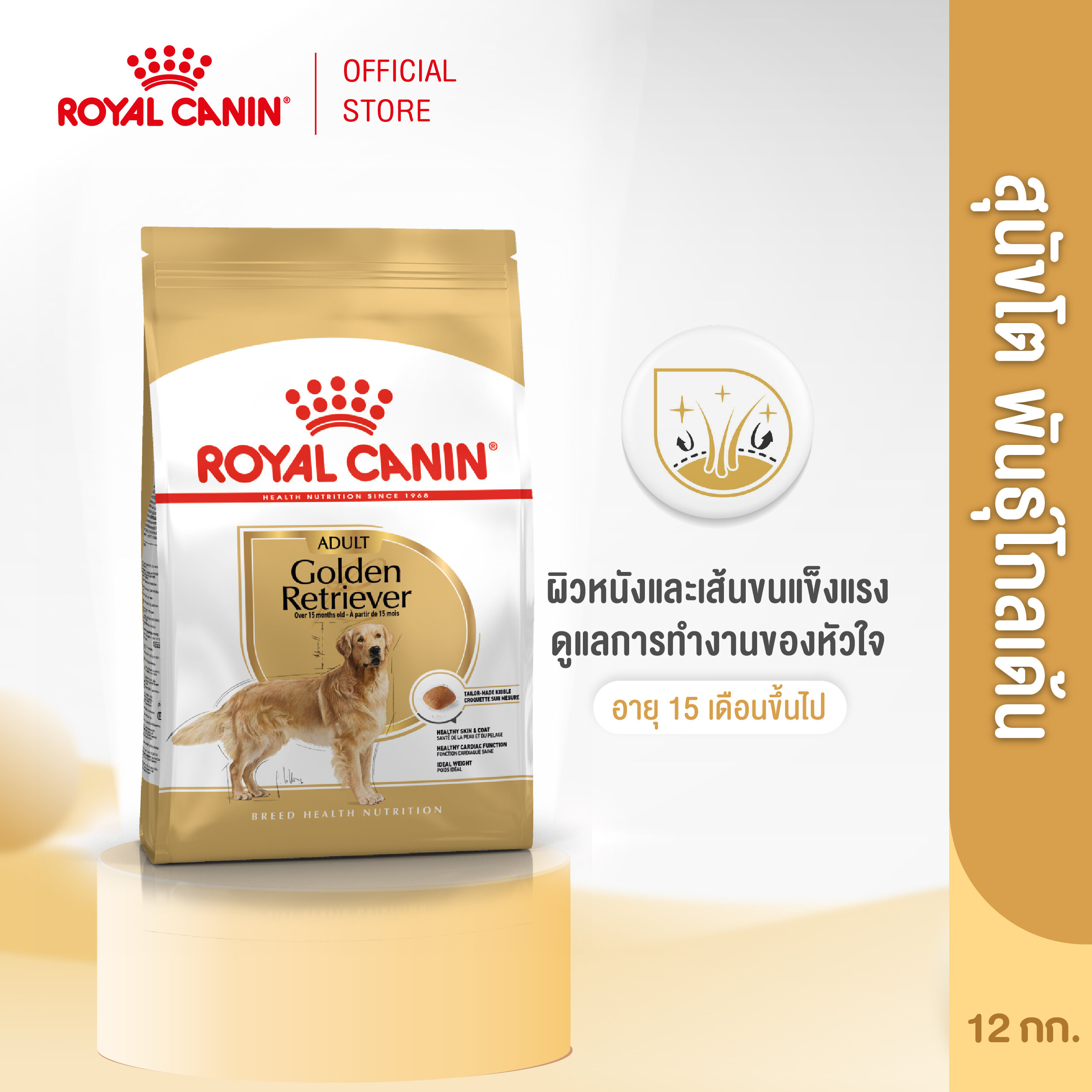 Royal Canin Golden Retriever Adult โรยัล คานิน อาหารเม็ดสุนัขโต พันธุ์โกลเด้น รีทรีฟเวอร์ อายุ 15 เดือนขึ้นไป (12kg, Dry Dog Food)