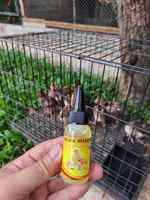 วิตามินสำหรับลูกไก่ (Vitamin for Chick🐣🐥)