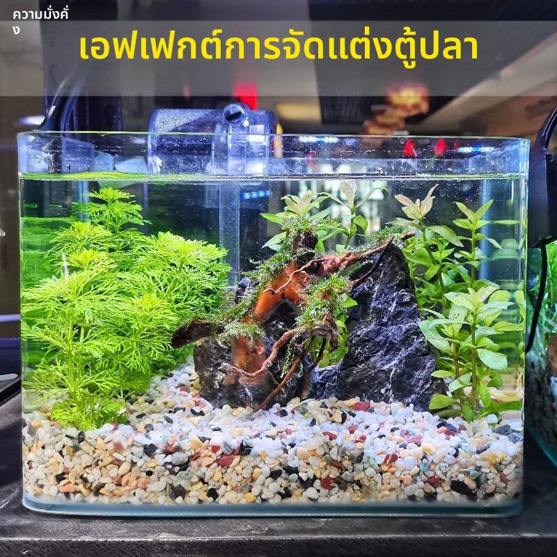 MONLEYTA | Natural Decorative Stones for Aquarium ราคา 2,534 บาท*ส่งฟรี