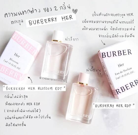 Burberry her shop king power