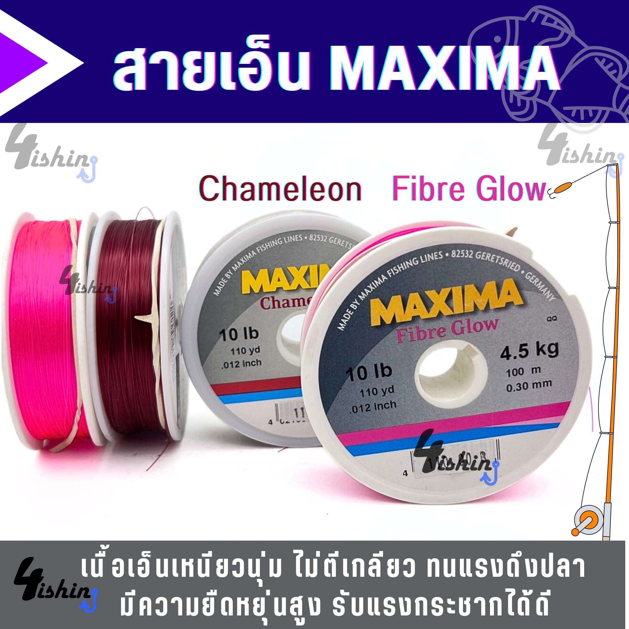 สายเอ็นตกปลา แม็กซิม่า MAXIMA ยาว 100 เมตร ( มี 2 สี Chameleon และ Fibre  Glow )