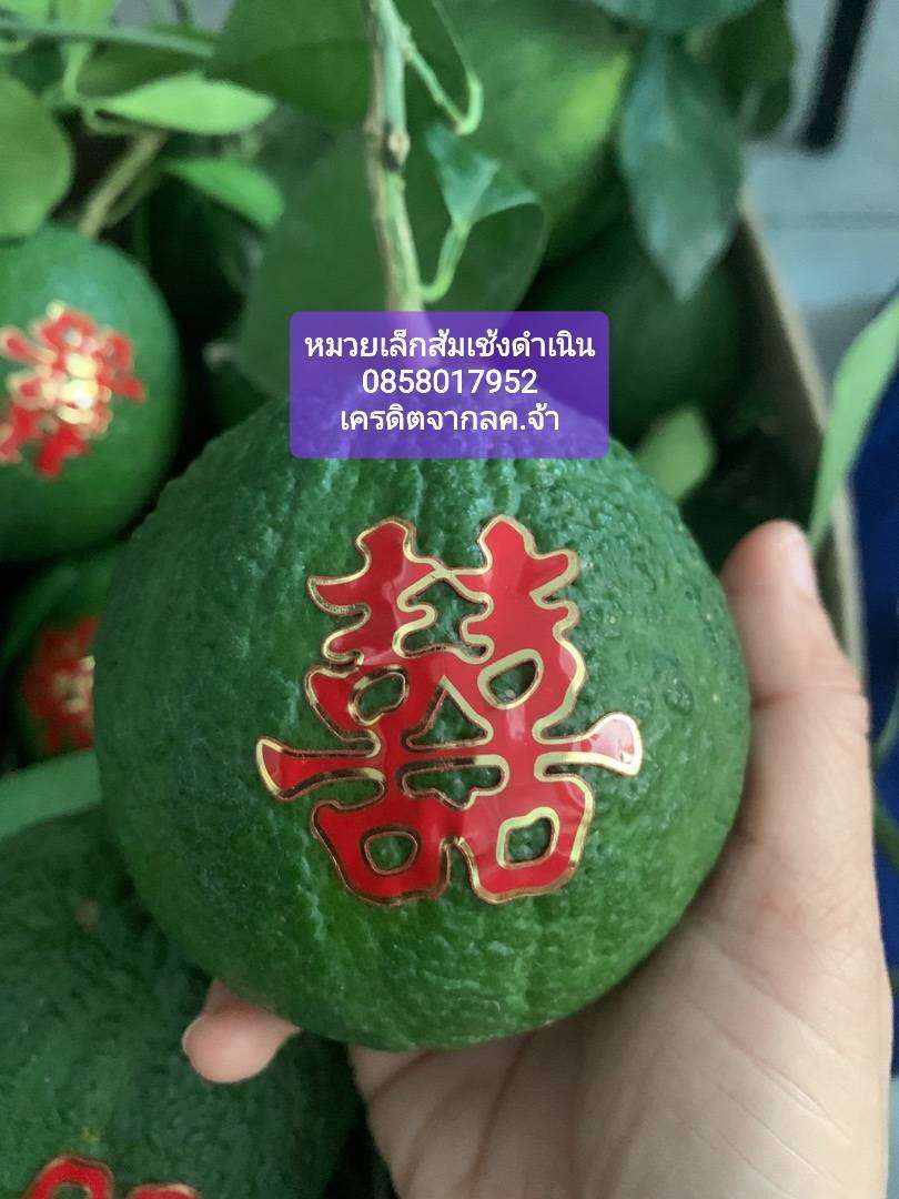 Sc8f00c5776334b19a4c71241c7202c56D jpg sc8f00c5776334b19a4c71241c7202c56d-jpg