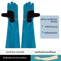 Terrain Kun | ถุงมือฝึกสุนัขทนการกัด สำหรับสุนัขขนาดใหญ่และเล็ก หนังวัวหนา