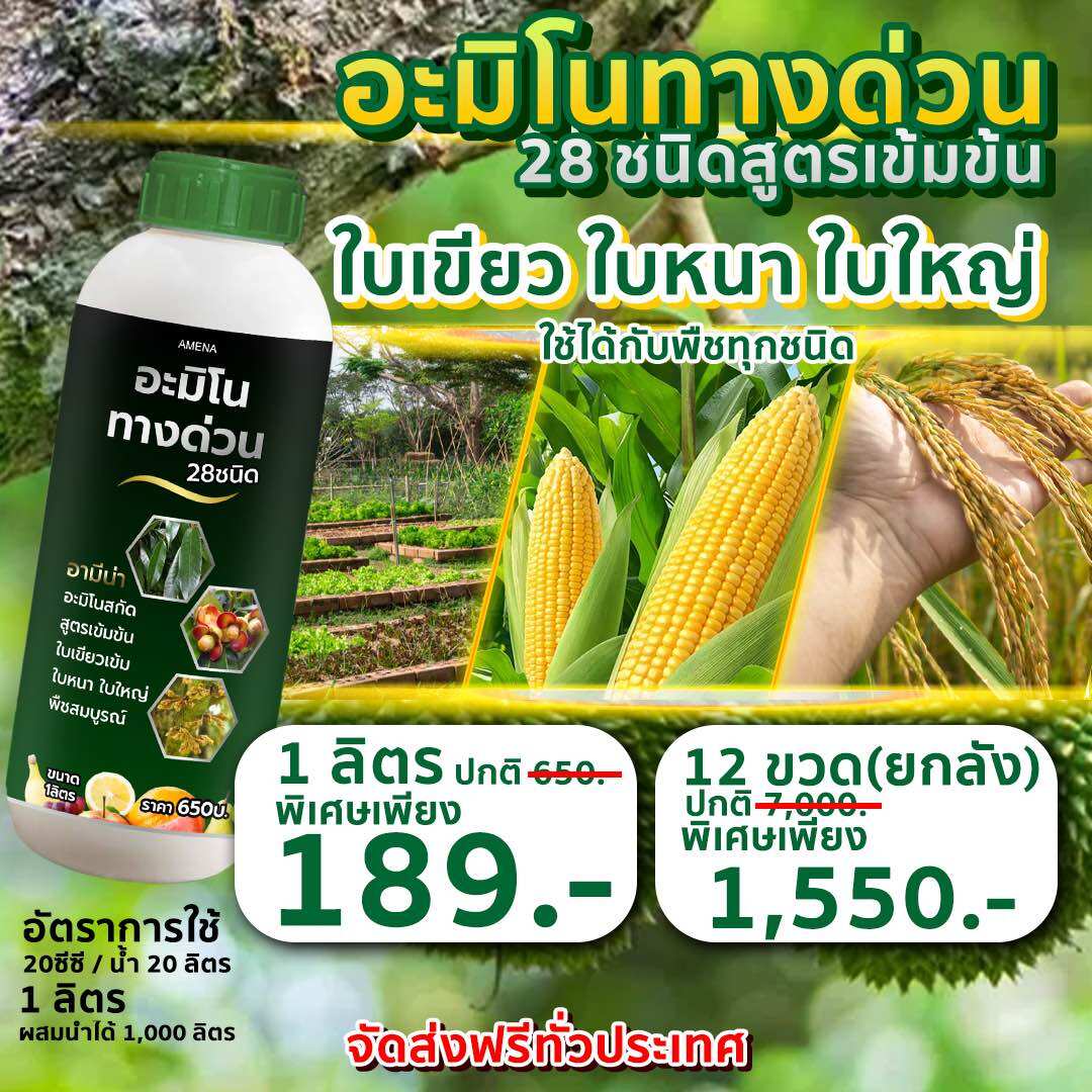 ปุ๋ยน้ำ อามีน่า อะมิโนทางด่วน 28ชนิด เร่งโต ใบเขียว ใบใหญ่ ช่วยเร่งการเจริญเติบโต ช่วยให้พืชแข็งแรง ขนาด 1 ลิตร ราคา 189 บาท*ส่งฟรี