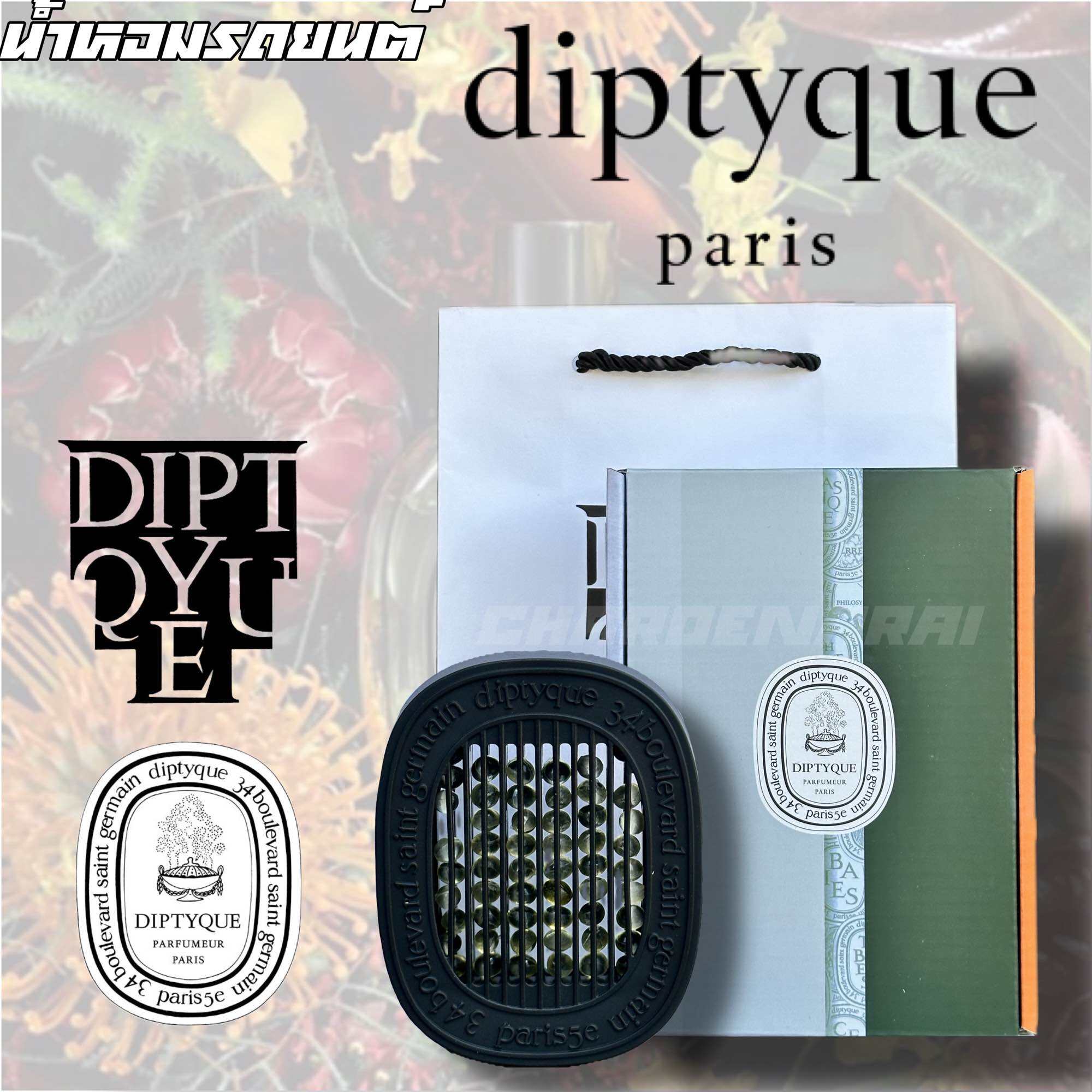 Diptyque 2025 scented insert