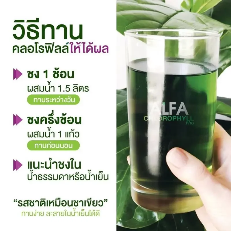 ภาพสินค้า**1 กระปุก ** Real Elixir Alfa Chlorophyll Plus เรียล อิลิคเซอร์ อัลฟ่า คลอโรฟิล พลัส จากร้าน Somo_Store บน Lazada ภาพที่ 1