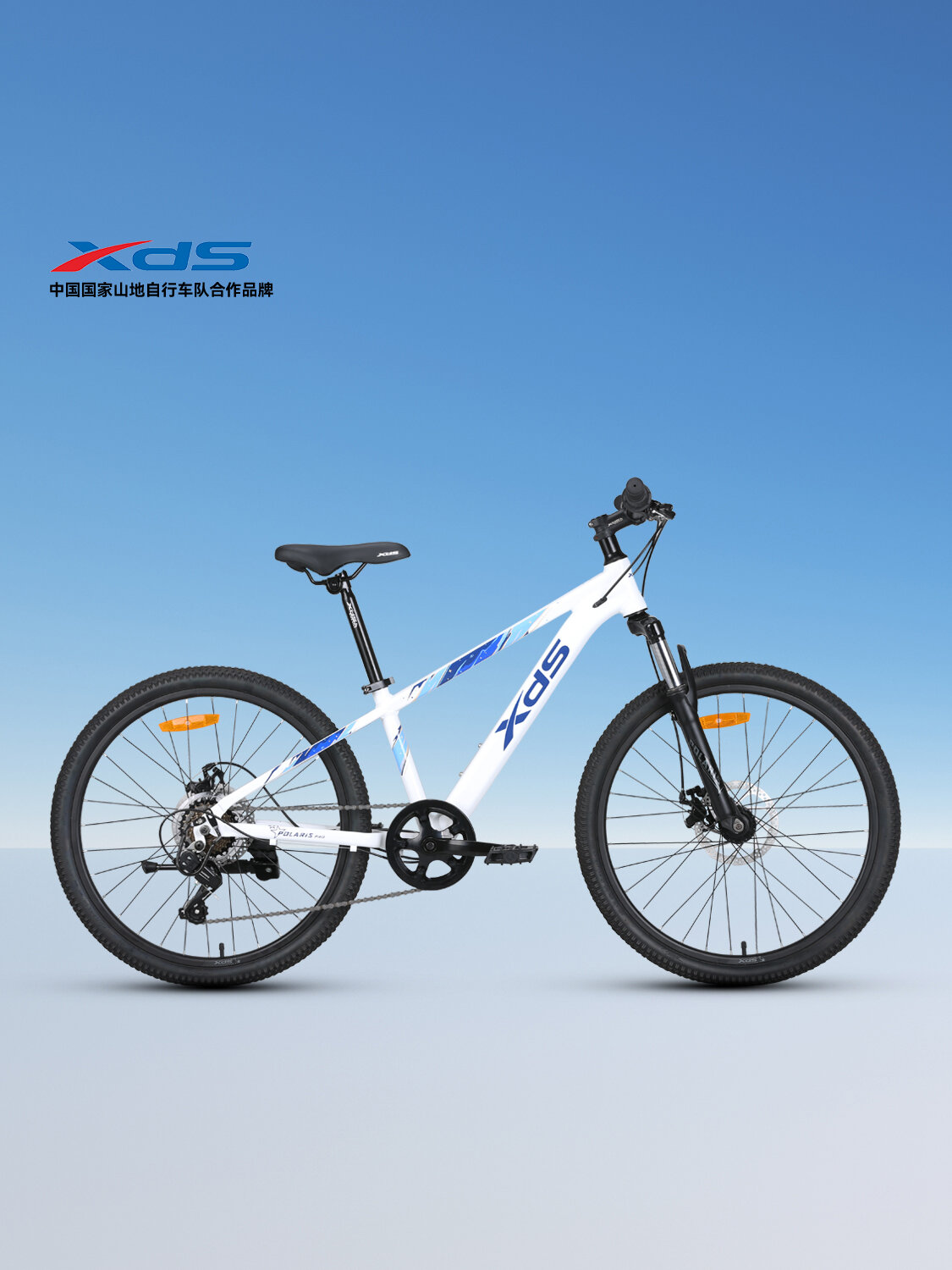 Polaris PRO Kids & Youth Bicycle Light & Variable Speed Mountain ราคา 13,816 บาท*ส่งฟรี