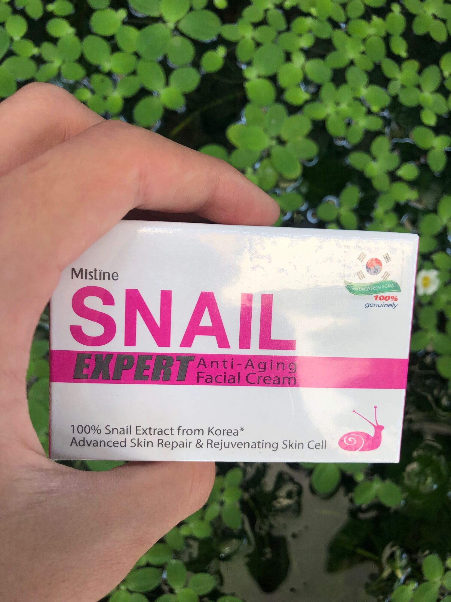 Mistine SNAIL EXPERT Anti-Anging Facial Cream. ครีมบำรุงผิวหน้าด้วยสาร ...