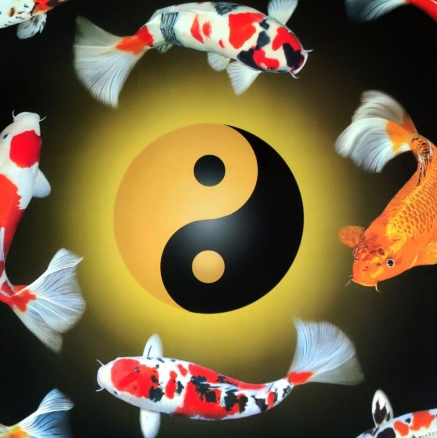 My Image 45