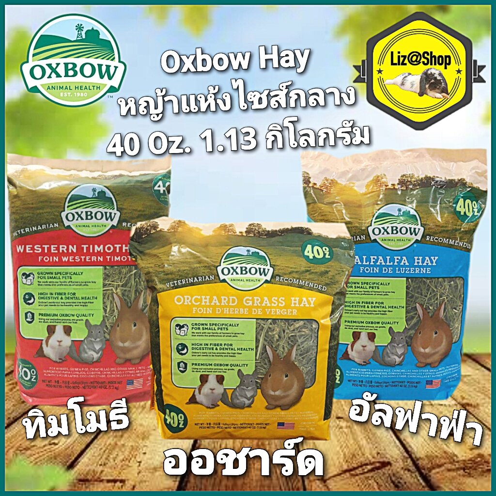 หญ้าทิโมธี Western Timothy Hay หญ้าออร์ชาร์ด Orchard Grass Hay หญ้า ...