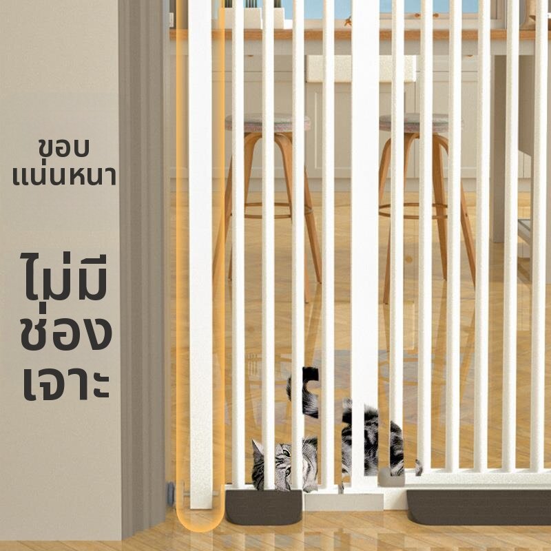 ZHENTAIYUAN | Cat Prevention Fence ราคา 749 บาท*ส่งฟรี