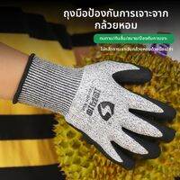 Terrain Kun | ถุงมือปอกทุเรียนกันเจาะ กันลื่น