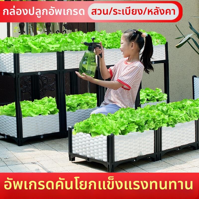 ZHUOLESHI | Large Outdoor Vegetable Planter ราคา 433 บาท*ส่งฟรี