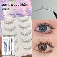 ขนตาปลอมธรรมชาติสำหรับผู้หญิง 8 มม. ด้ามบาง Faiccia