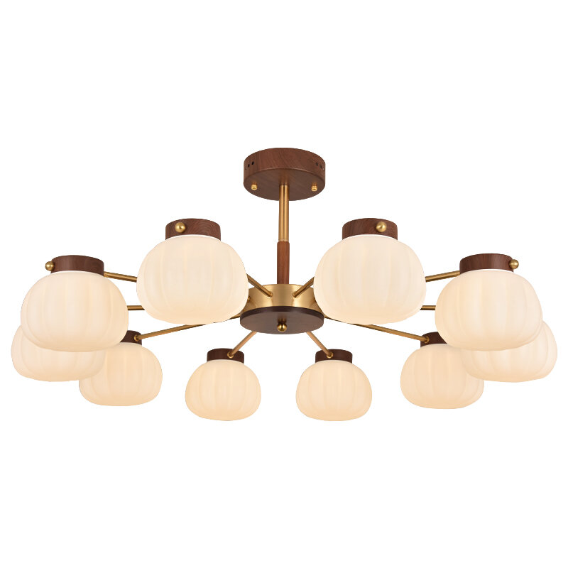 DGY | Eye Protection Lighting Kit for Living Room Dining Area Bedroom ราคา 4,828 บาท*ส่งฟรี