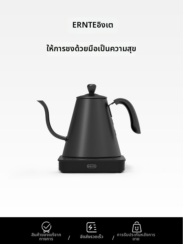 ernte | Electric Kettle with Gooseneck Spout and Thermostat Black