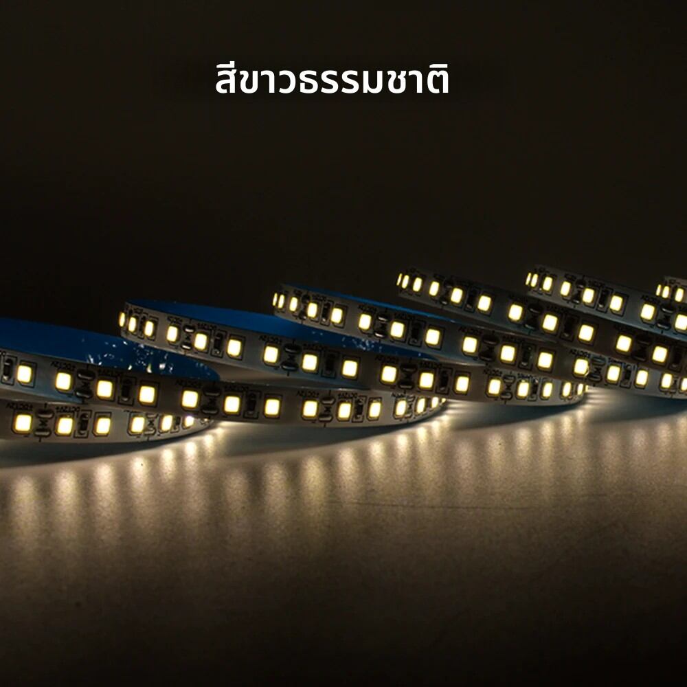 12V 2835 LED Strip Light 120 LEDs/M สีแดงสีเขียวสีฟ้าสีเหลือง Warm WhiteTape ริบบิ้นความสว่างสูง 8 มม.สําหรับตกแต่งห้องแสง